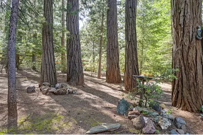 25917 Mount Misery Lane, Pioneer, CA 95666 - Photo 9