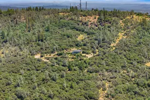 15438 Tarr Ditch Rd, Grass Valley, CA 95949 - Photo 87