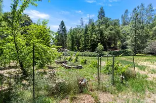 1144 Boole Rd, Applegate, CA 95703 - Photo 63