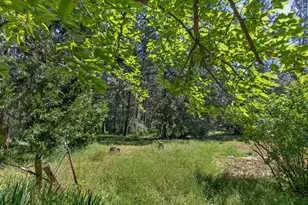 4617 Ringold Rd, Diamond Springs, CA 95619 - Photo 37