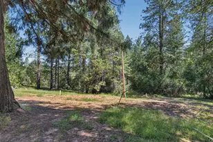 4617 Ringold Rd, Diamond Springs, CA 95619 - Photo 41