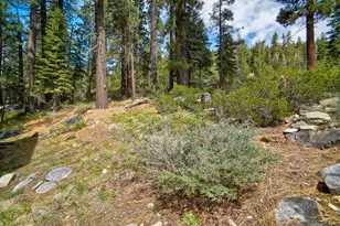51255 Jeffery Pine Dr, Soda Springs, CA 95728 - Photo 31
