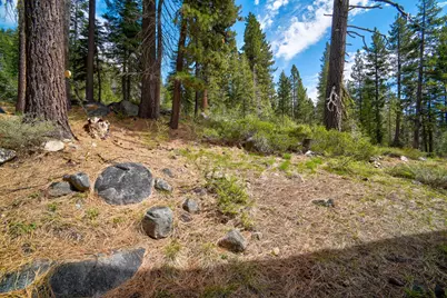 51255 Jeffery Pine Drive, Soda Springs, CA 95728 - Photo 27