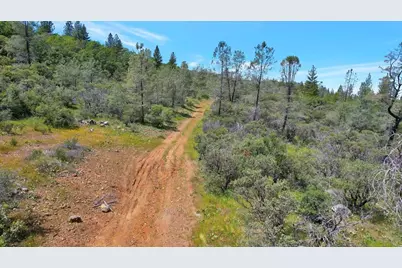 12934 Wild Acres Way, Oregon House, CA 95962 - Photo 7