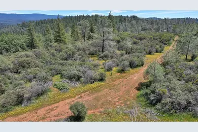 12934 Wild Acres Way, Oregon House, CA 95962 - Photo 5