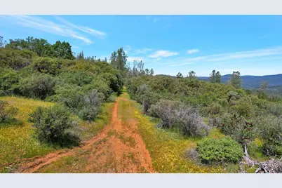 12934 Wild Acres Way, Oregon House, CA 95962 - Photo 3