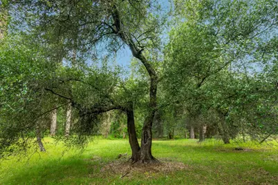14073 Retrac Way, Grass Valley, CA 95949 - Photo 11