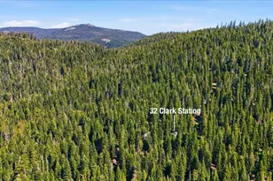 32 Clark Station, Sierra City, CA 96125 - Photo 27