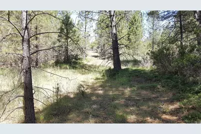 0 Deardorff Road, Glencoe, CA 95232 - Photo 9