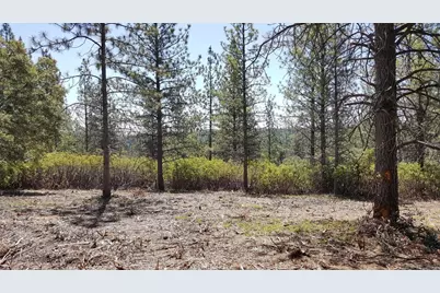 0 Deardorff Road, Glencoe, CA 95232 - Photo 1