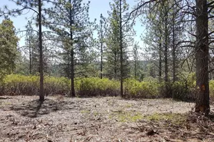 0 Deardorff Rd, Glencoe, CA 95232 - Photo 1