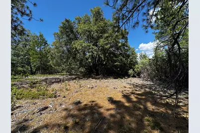 0 Deardorff Road, Glencoe, CA 95232 - Photo 11
