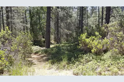 0 Deardorff Road, Glencoe, CA 95232 - Photo 5