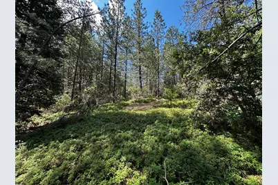 0 Deardorff Road, Glencoe, CA 95232 - Photo 49