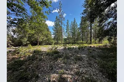 0 Deardorff Road, Glencoe, CA 95232 - Photo 9