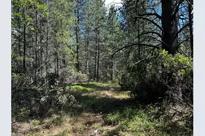 0 Deardorff Road, Glencoe, CA 95232 - Photo 43