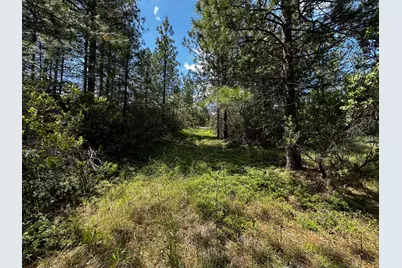 0 Deardorff Road, Glencoe, CA 95232 - Photo 41