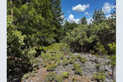 0 Deardorff Road, Glencoe, CA 95232 - Photo 37