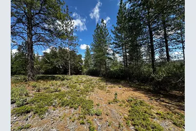 0 Deardorff Road, Glencoe, CA 95232 - Photo 5