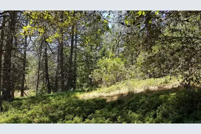 0 Deardorff Road, Glencoe, CA 95232 - Photo 3