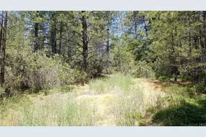 0 Deardorff Road, Glencoe, CA 95232 - Photo 7
