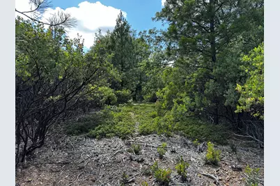 0 Deardorff Road, Glencoe, CA 95232 - Photo 35