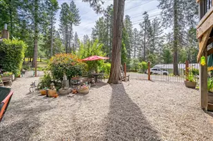 6169 Rolling Ct, Georgetown, CA 95634 - Photo 59