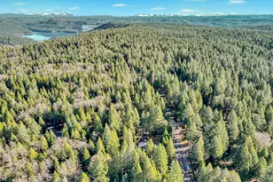 13202 Quaker Hill Cross, Nevada City, CA 95959 - Photo 53