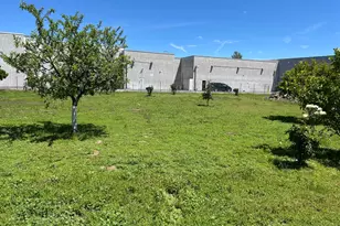 289 Hwy 4, Angels Camp, CA 95222 - Photo 31