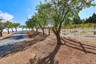 6000 Salmon Falls Rd, Pilot Hill, CA 95664 - Photo 75