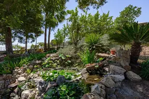 6000 Salmon Falls Rd, Pilot Hill, CA 95664 - Photo 85
