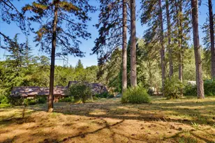 16209 Gibboney Ln, Grass Valley, CA 95949 - Photo 47