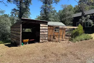 1000 Thundercloud Ln, Placerville, CA 95667 - Photo 45
