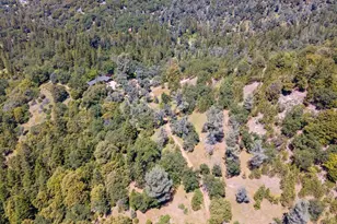 1000 Thundercloud Ln, Placerville, CA 95667 - Photo 91
