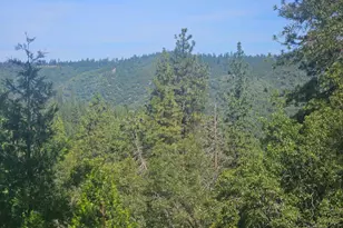 5148 Wylderidge Dr, Murphys, CA 95247 - Photo 1