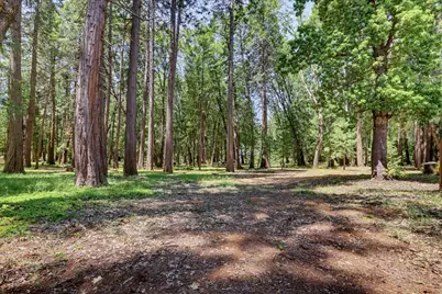 14166 Loma Rica, Grass Valley, CA 95945 - Photo 73