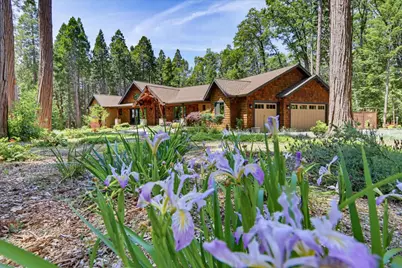 14166 Loma Rica, Grass Valley, CA 95945 - Photo 3