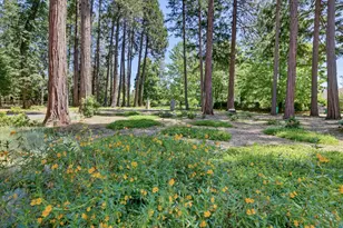 14166 Loma Rica, Grass Valley, CA 95945 - Photo 55