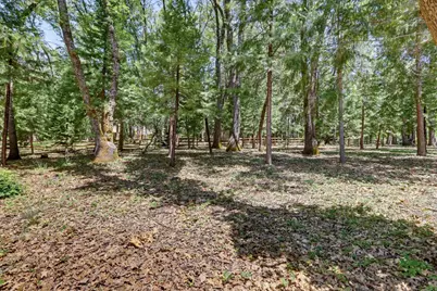 14166 Loma Rica, Grass Valley, CA 95945 - Photo 69