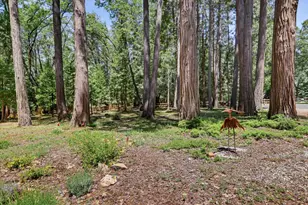 14166 Loma Rica, Grass Valley, CA 95945 - Photo 63