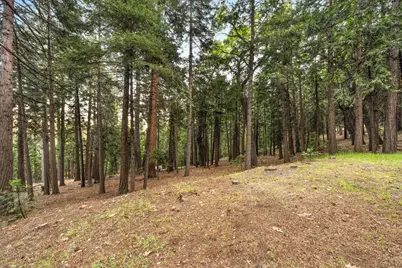 6742 Diamond Drive, Pollock Pines, CA 95726 - Photo 27