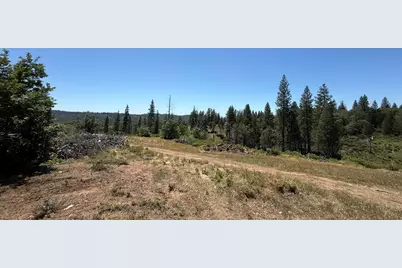 371 Blossom Lane, Mokelumne Hill, CA 95245 - Photo 11