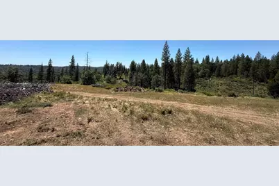 371 Blossom Lane, Mokelumne Hill, CA 95245 - Photo 9