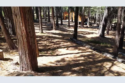 3653 Bigfoot Circle, Arnold, CA 95223 - Photo 7