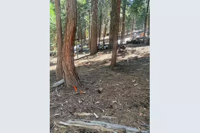3653 Bigfoot Circle, Arnold, CA 95223 - Photo 11