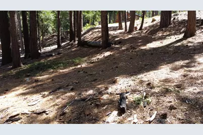 3653 Bigfoot Circle, Arnold, CA 95223 - Photo 3