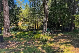 48 Pine St, West Point, CA 95255 - Photo 55