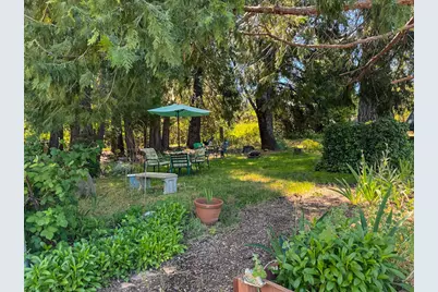 48 Pine Street, West Point, CA 95255 - Photo 47
