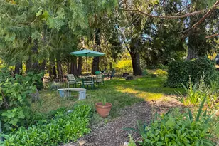 48 Pine St, West Point, CA 95255 - Photo 47
