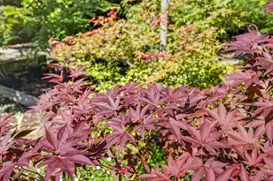 6301 Longridge Way, Sacramento, CA 95831 - Photo 75